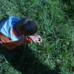 52010564 - Scouts en Gidsen Zaventem 